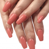 Apricot Blush